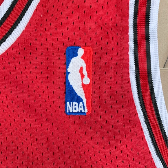 AUTHENTIC Chicago Bulls Scottie Pippen Nike Jersey - Picture 3 of 8